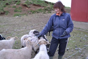 Svana with our sheep
