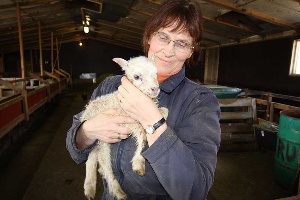 Svana with one of our lamb